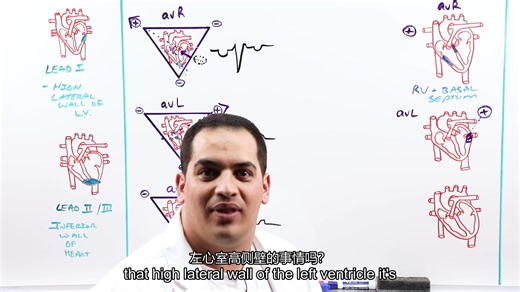 搬运系列：Ninja nerd大神心电图基础第一课：EKG Basics _中英双语字幕