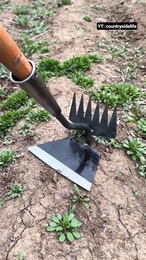 ​⛏️🌿 2-in-1 Hoe and Rake Tool Demonstrating Efficient Soil Preparation