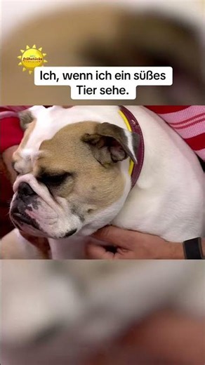 Boschi und Berta = das Dreamteam 😍