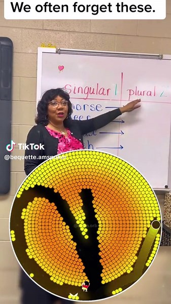 #plural #singular ##singularnoun##horses##pluralnouns##deer##fishes##geese##micesocialmediagrammarmistakes ##grammarlesson ##teachingontiktok##englishtutorial##English##englishasasasecondlanguage ##tiktokteacher##tiktokteachers##tesol