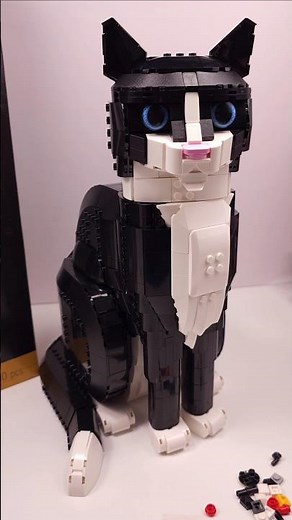 LEGO® Ideas Tuxedo Cat (21349)[1710 pcs] Review #shorts ‪@TopBrickBuilder‬