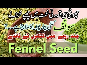 Discover the POWER of Fennel Seeds for Your Health