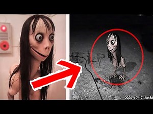 5 Momos Captados en CAMARA y Vistos en la Vida REAL