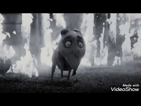 Victor and Elsa compilation (Frankenweenie 2012)