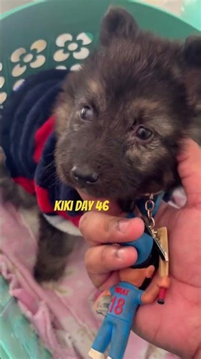 Aaj isne apne sath kaand kr diya 🧿🙏🌎