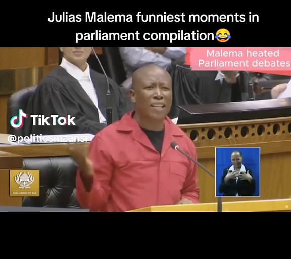 Julius Malema's Funniest Moments in Parliament