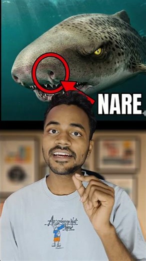 Wow! How Sharks Detect a Drop of Blood from Far Away. #facts #weirdfacts #MysteriousOcean