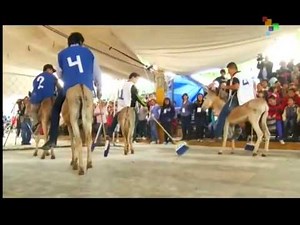 Mexico: Donkeys Honored on May Day