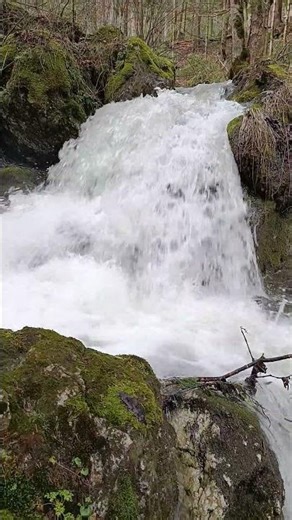 cheile Bicazului #romania #nature #viziteazaromania #travel #waterfall #mountains #xiaomi