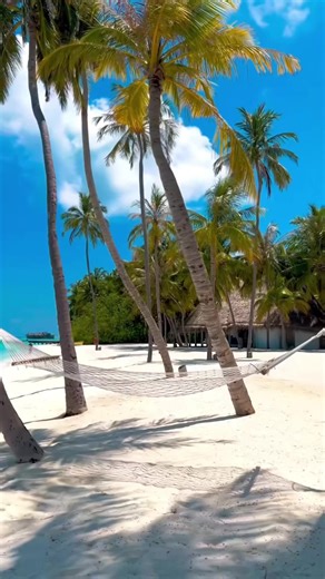 5.1K views · 169 reactions | Your Private Oasis in the Maldives ✨ | Maldives Resorts Online | Facebook