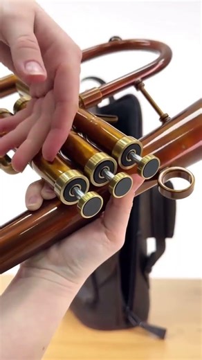 Flugelhorn Gig Bag