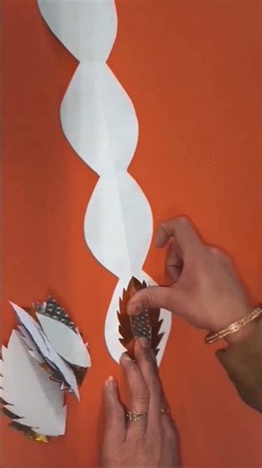 Display Board Boarder Design |