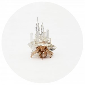 Artist 3D Prints Shells with Tiny Skylines for Hermit Crabs