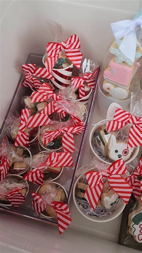 12/6/25 - Yesterday sold out within a few hours, so I baked the night away to refill! Thank you for your cookie love. 🎉Weekend restock! The Grab & Go Cookie Cooler is packed with festive sugar cookies - and I'm OBSESSED! I went overboard with Christmas options this year, which is why I don't have the presale posted yet. I'm waiting on a few more cookie cutters (shhh! Don't tell Mr. Cookie!) and then I'll be posting that. For now - I'm packing the Grab & Go for you. I hope you love these designs