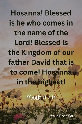 Catholic Bible Study | Mark 11:9-10 | Jesus Rose Co. ✝️