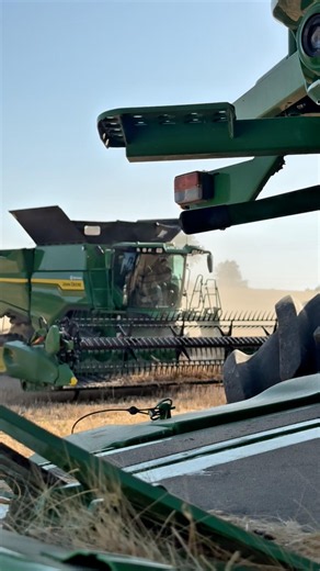Durum Wheat Harvest☀️🌾S7 800 - 6R145 #farming #farmlife