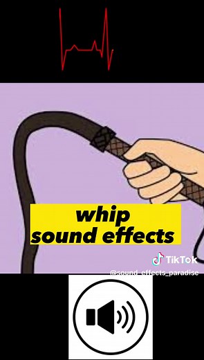 Whip Sound Effects Compilation for TikTok | Funny Sounds