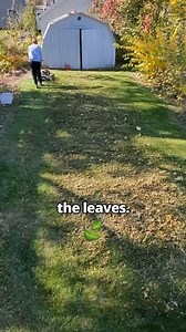 This Customer STOLE My Lawn Mower!. 😱 #lawncare #mowing | Lawn Care Reel