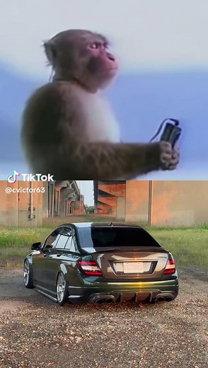 Mercedes C63 AMG W204: Performance and Features Overview