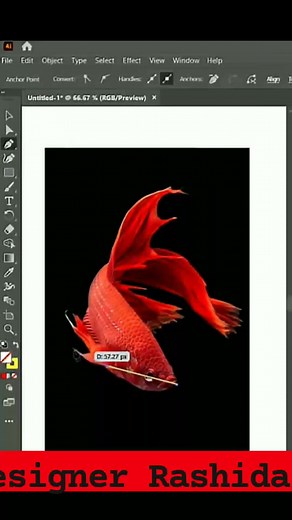 Fish logo design using adobe illustrator #facebookreel #foryou #StarSender #follower #nonfollowers | Rashida Khatun 0.1