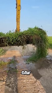 This Machine Pulled Out Many Snakes 😨 | History Facts