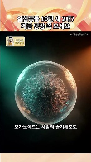 [로움이의 이슈 멍멍!] 연간 460만 마리 희생... 한국 동물실험의 충격적 실체 #로움이 #말티즈 #동물실험 #동물권 #대체시험법 #오가노이드 #동물복지 #바이오기술 #뉴스