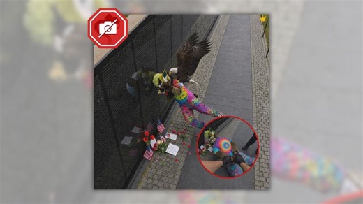 Does image show bald eagle attacking furry for defiling veterans memorial? Don't be fooled