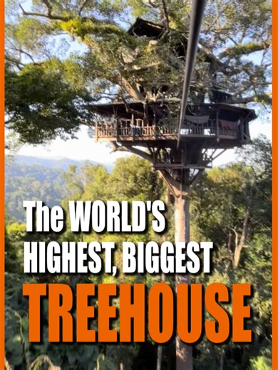 The WORLD'S HIGHEST, BIGGEST TREEHOUSE - A Repairman Unleashed #construction#diy#tree#house The world's most breathtaking treehouse, part of the Gibbon Experience deep in the jungles of northern Laos, is a unique beauty at a height of 40 M! #laos @thegibbonexperiencelao8996 ​