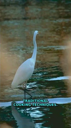 WAIT, Your 1960s Cooking Will Never Be The Same | 60s Cooking Secrets