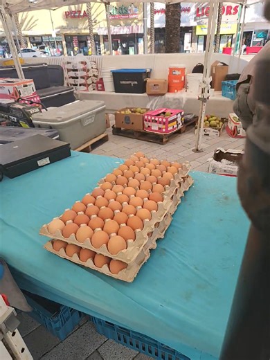 Kimberly Rose on Reels