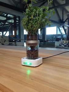 Make Your Own Adorable Desktop Smart Garden