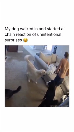 POINT OF MEMES CULTURE on Instagram: "Follow for more 🍿⬇️ Scary Movie 4 is a hilarious horror comedy parody film that mixes spooky scenes with nonstop laughs. The story follows Cindy Campbell as she moves into a haunted house after being widowed, only to uncover dark secrets linked to her neighbor Tom Ryan. Things get crazier when an absurd alien invasion with giant tripods threatens Earth. With the return of Brenda Meeks, the movie delivers iconic comedy moments while spoofing popular films li