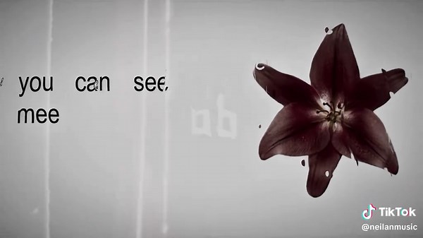 serial killer lana del rey brat lyrics #lanadelrey #neilanmusic #lyricsvideo #serialkiller #unreleased you can see me drinking cherry cola my lyrics