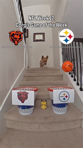 NFL Week 12: Chicago Bears vs Pittsburgh Steelers Highlights