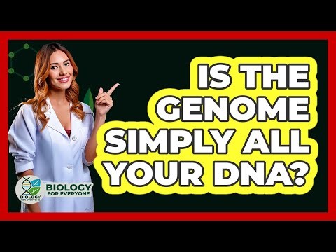 Is The Genome Simply All Your DNA? - Biology For Everyone