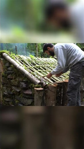 Building a Shelter in the Wilderness with My Best Friend! #camping #outdoors #wildcamping