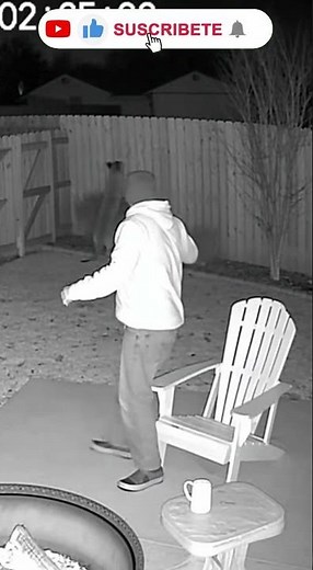 Midnight Guardian: Dog Scares Off Mountain Lion in Shocking Backyard Encounter
