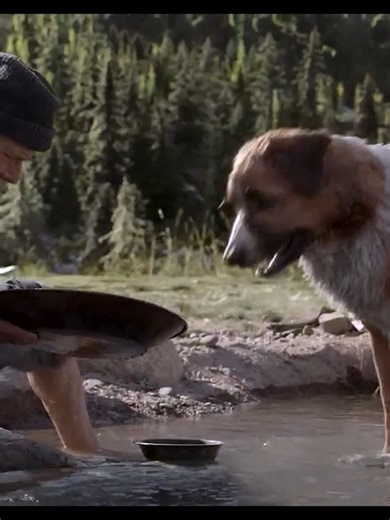 Buck y su transformación en 'El llamado salvaje'