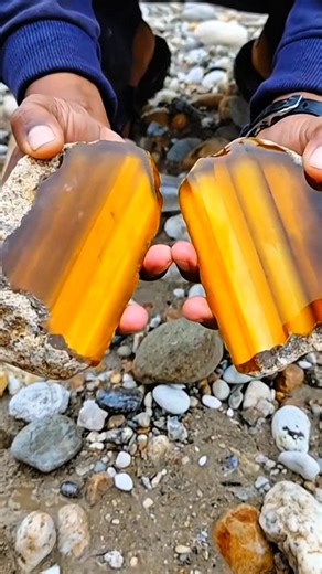 Nature’s Golden Treasure! 🍯💎