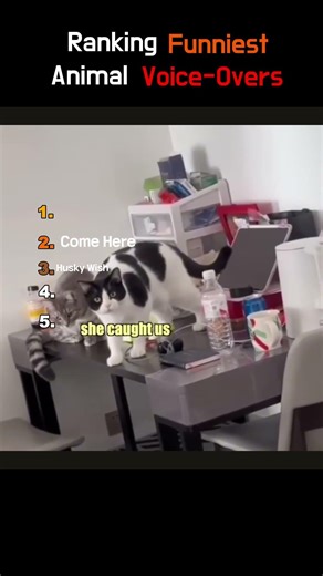 Ranking Funniest Animal Voice-Overs 😂