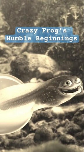 The real story behind Crazy Frog’s Humble Beginnings #music #crazyfrog #documentary