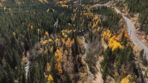 Aerial views: Fall leaves on Colorado's Guanella Pass