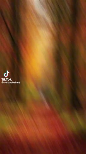 Mohsin Awan on TikTok