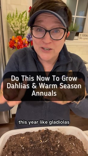 Not sure what to do with warm season annuals in April? These plants cannot tolerate a frost and they don’t like cool spring temperature so you can’t put them out before Mother’s Day. But what you can do is pot them up in potting mix, and put them in a sunny window, or under a grow light, and let them get their roots and stems started. That’s how you can give them a head start before your last frost date. I am a Garden Coach located in the northwest suburbs of Chicago. I do on-site sessions right