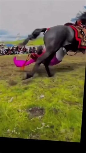 Amazing Speed Horse Riding Techniques