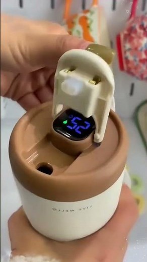Smart Digital Stainless Steel Coffee Mug | 450ml Vacuum Insulated Travel Cup with LED Temperature