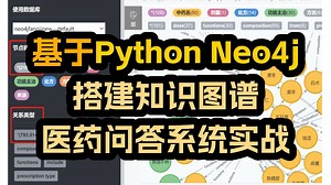 【知识图谱搭建】原理详解 项目实战，基于Python Neo4j搭建知识图谱医药问答项目实战，同济大佬手把手带你轻松搞定！自然语言处理/人工智能