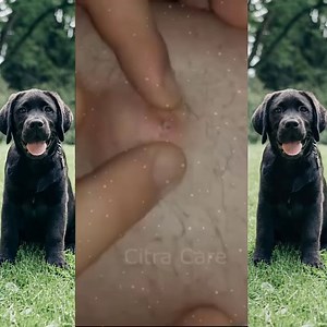 268K views · 1.9K reactions | Happy To Watch! | Medical knowledge | Facebook