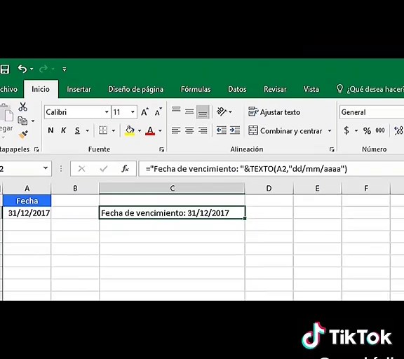 Función TEXTO en Excel: Formatea Números y Fechas