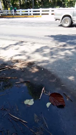 Armando Donan on Reels